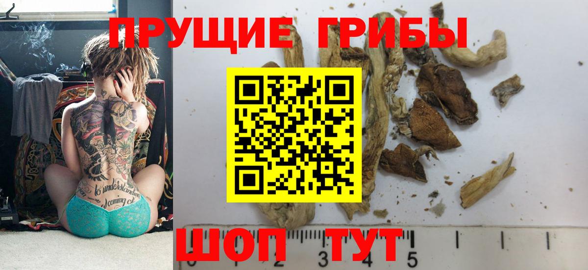 продажа наркотиков  Галлюциногенные грибы мухоморы  Псилоцибиновые грибы MAGIC MUSHROOMS  Вход с VPN  Иркутск 